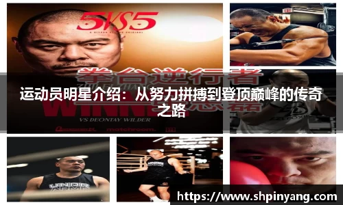 HB火博官方网站