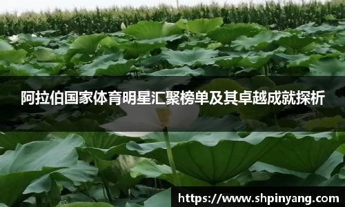 HB火博官方平台