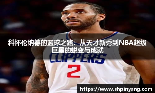 HB火博官方手机入口